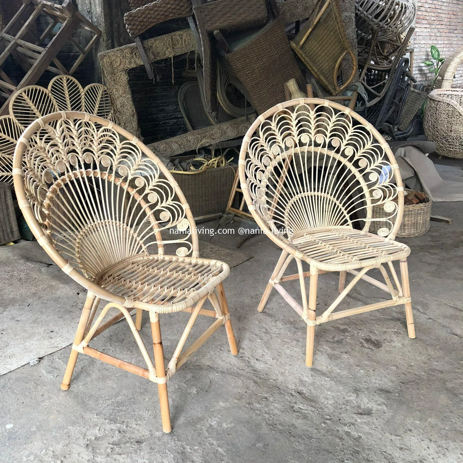nania-adz (2) Palmerston Original Rattan Wicker Garden Chair Peacock Motif