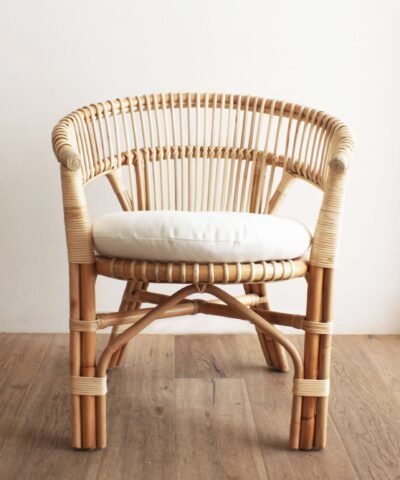 Salamanca Modern Bamboo and Rattan Armchair