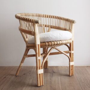 Salamanca Modern Bamboo and Rattan Armchair