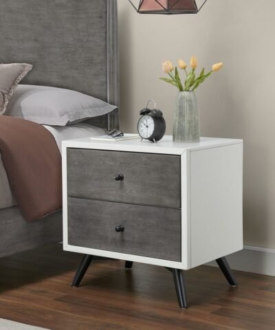 Delfzijl Mid-Century Modern 2-Drawer Nightstand