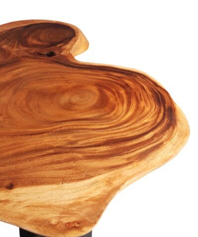 Toulouse Teak Solid Console Slab Table