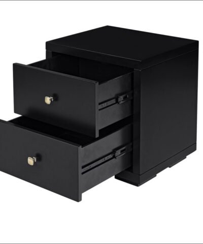 Leiden Nightstand Black Glosy Wooden with 2 Drawer