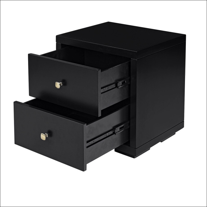 Leiden Nightstand Black Glosy Wooden with 2 Drawer