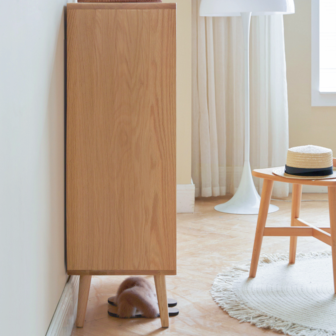 Shoe Rack Minimalist Rattan Combination Shoe Cabinet 2 Doors