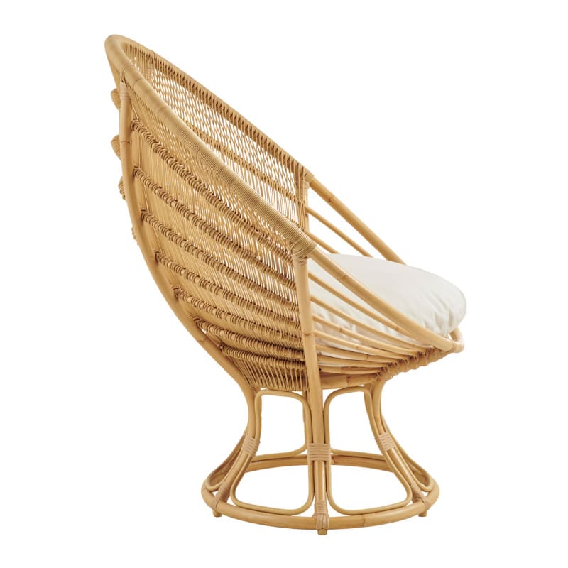 Rattan Sunchair With Cushion United Arab Emirates