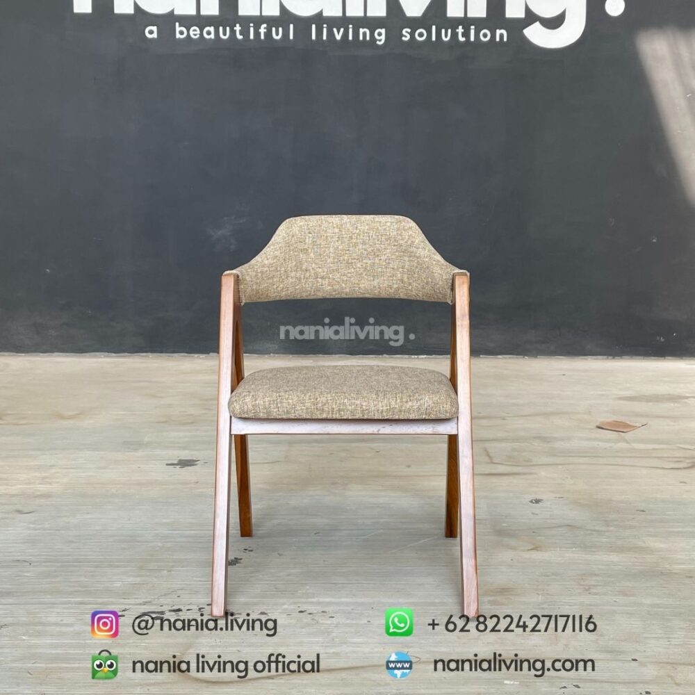 Modern Minimalist Elegant Dining Chairs